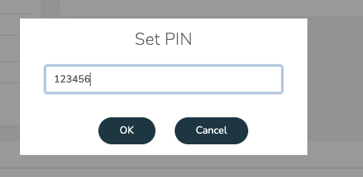 set-pin multiuser.png